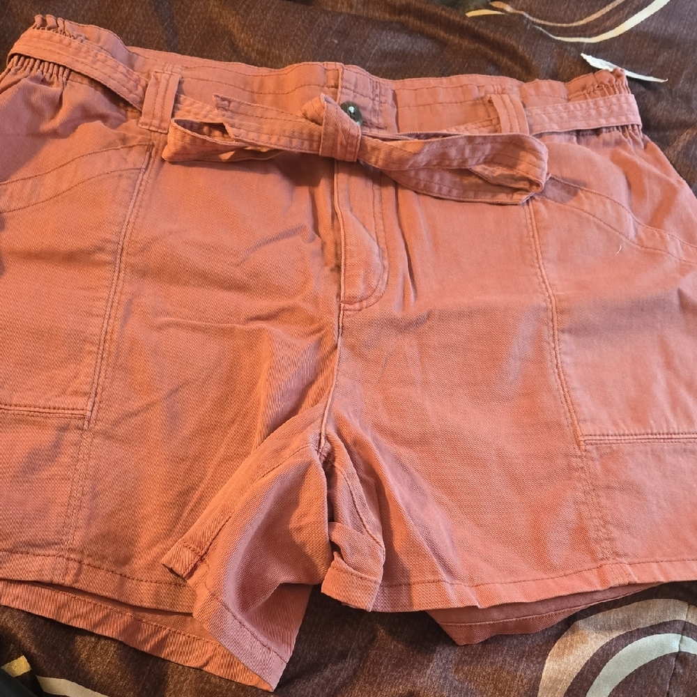 Old Navy Terracotta Belted Shorts